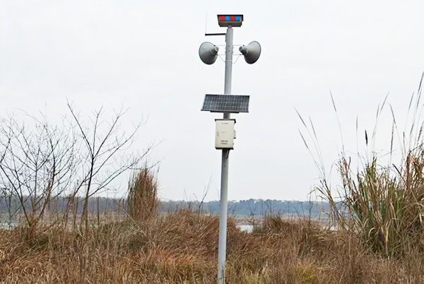δ-1.jpg