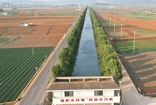 δ-1.jpg